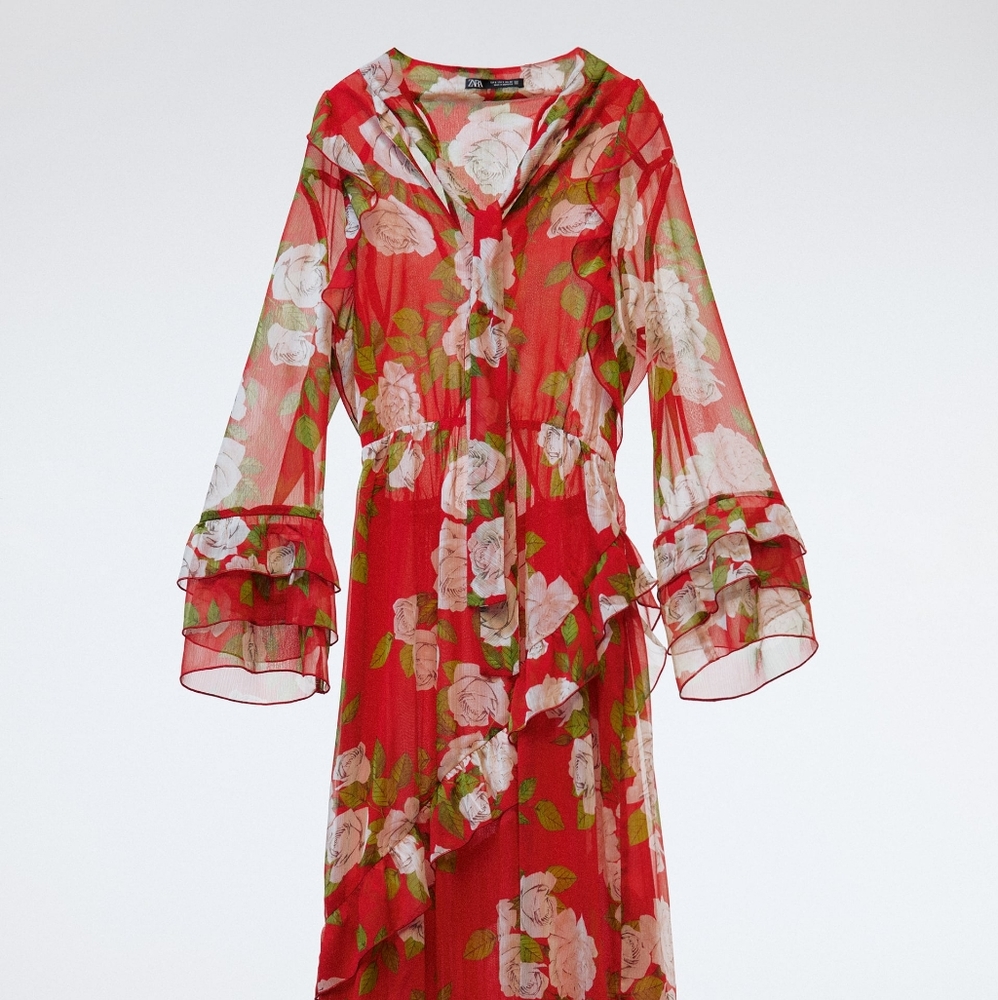 Zara Floral Dress with Ruffle